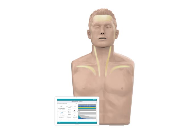 Innovative manikin for CPR and AED training with blood flow visualisation Amoul