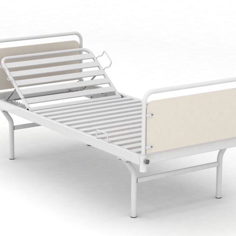 Medical functional bed AMED KS2.100