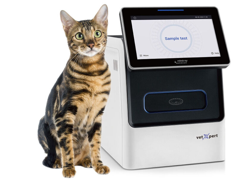 Mindray vetXpert C5 rapid biochemical analyser for veterinary use